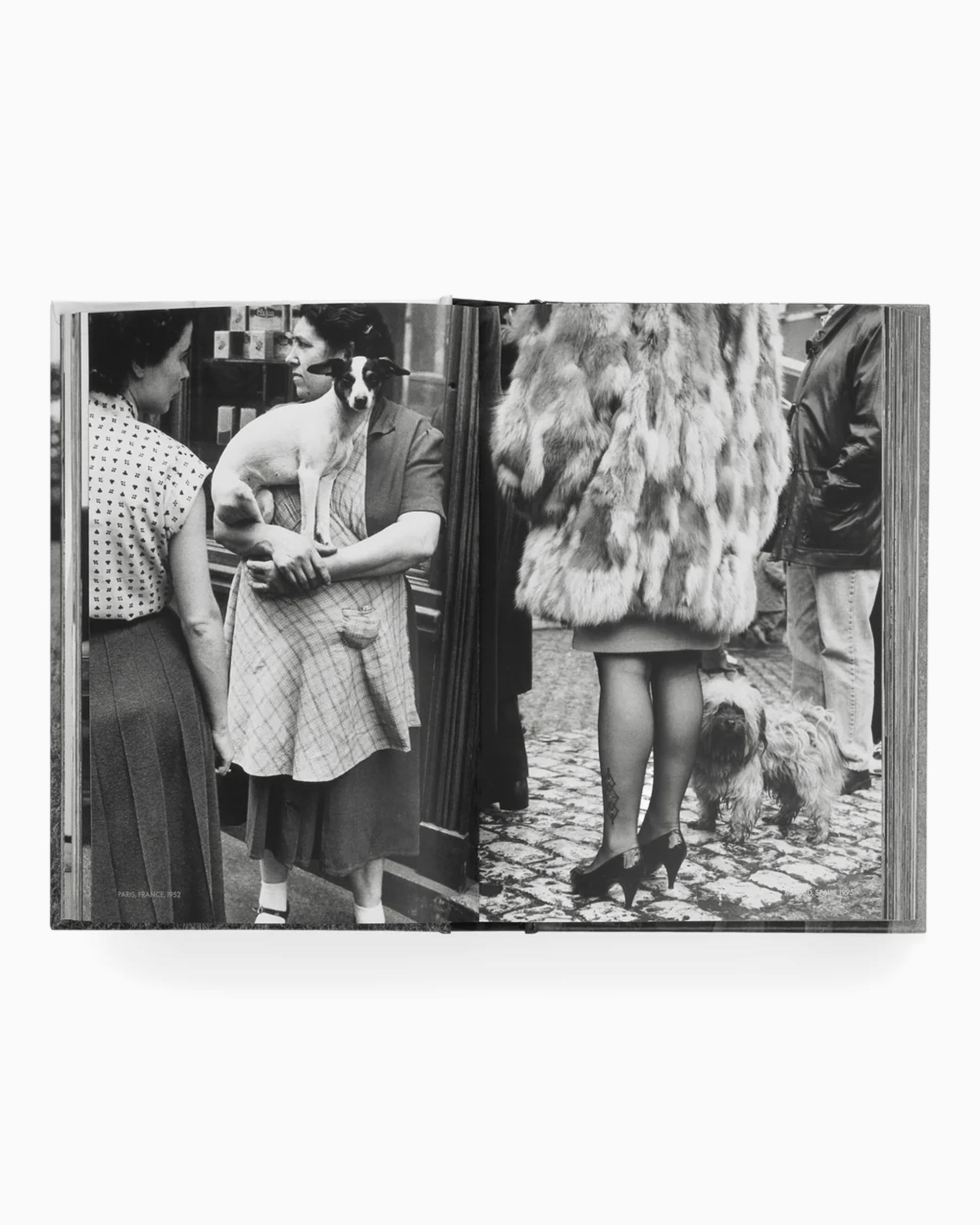 Books Magazines Phaidon Elliot Erwitt: Vida De Perros - 9781838669744