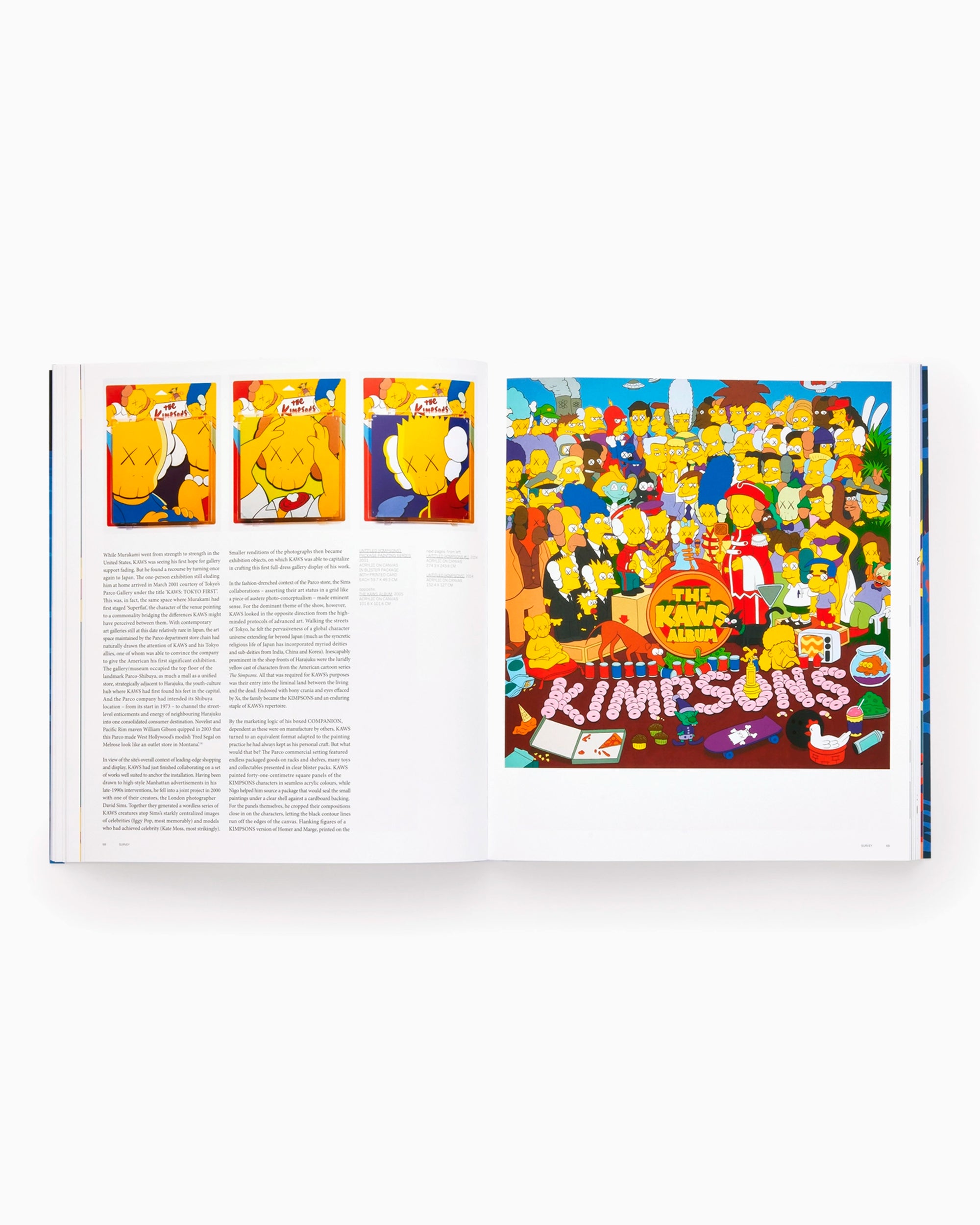 Books Magazines Phaidon KAWS: Contemporary Artists - 9781838665418