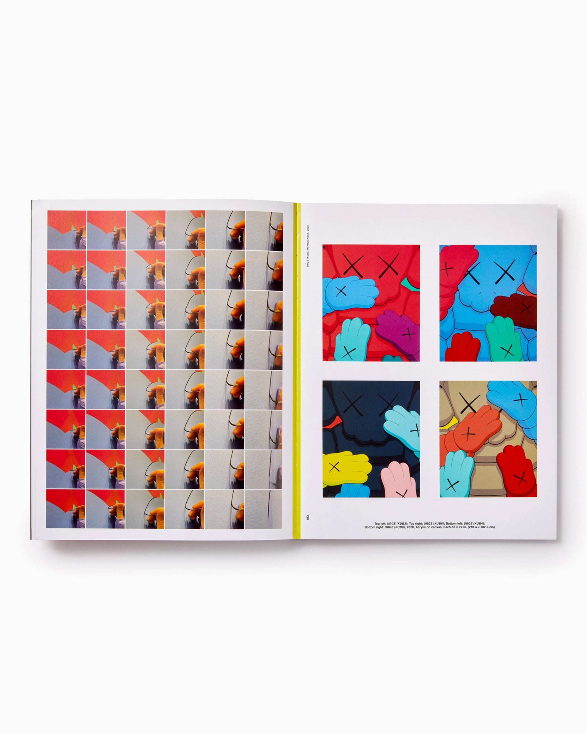 Books Magazines Phaidon KAWS: What Party - 9781838663940
