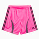 Calções adidas Performance Teamgeist Adicolor para homem