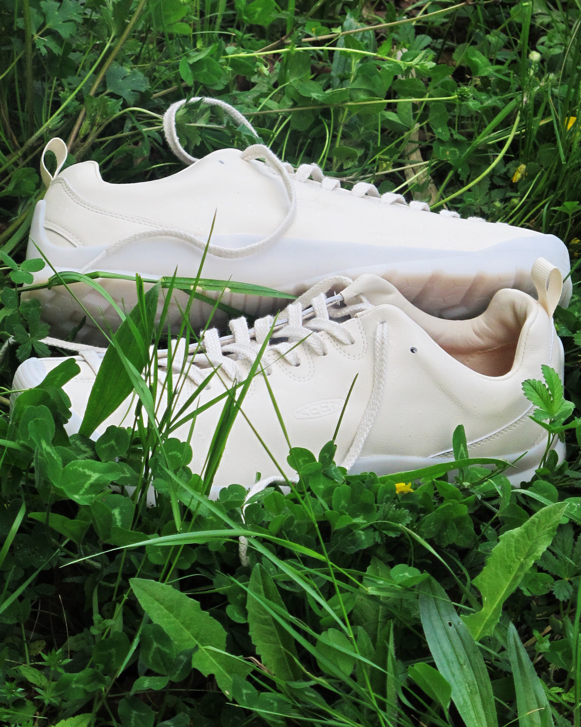 Sneakers KEEN Women's Jasper SE1 "Atmosphere Pack" - 1032109