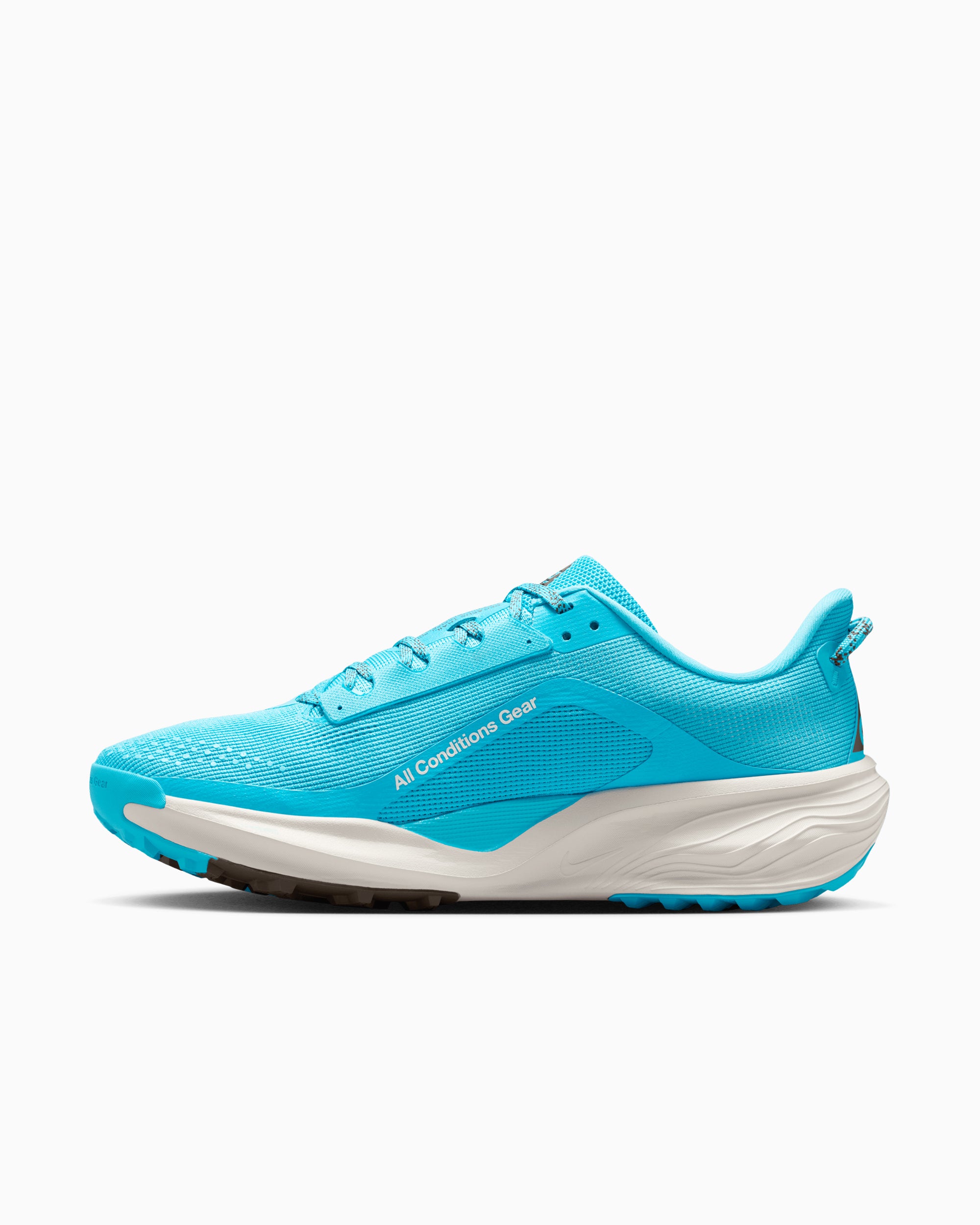 Sneakers Nike ACG Pegasus Trail - HV8116-400