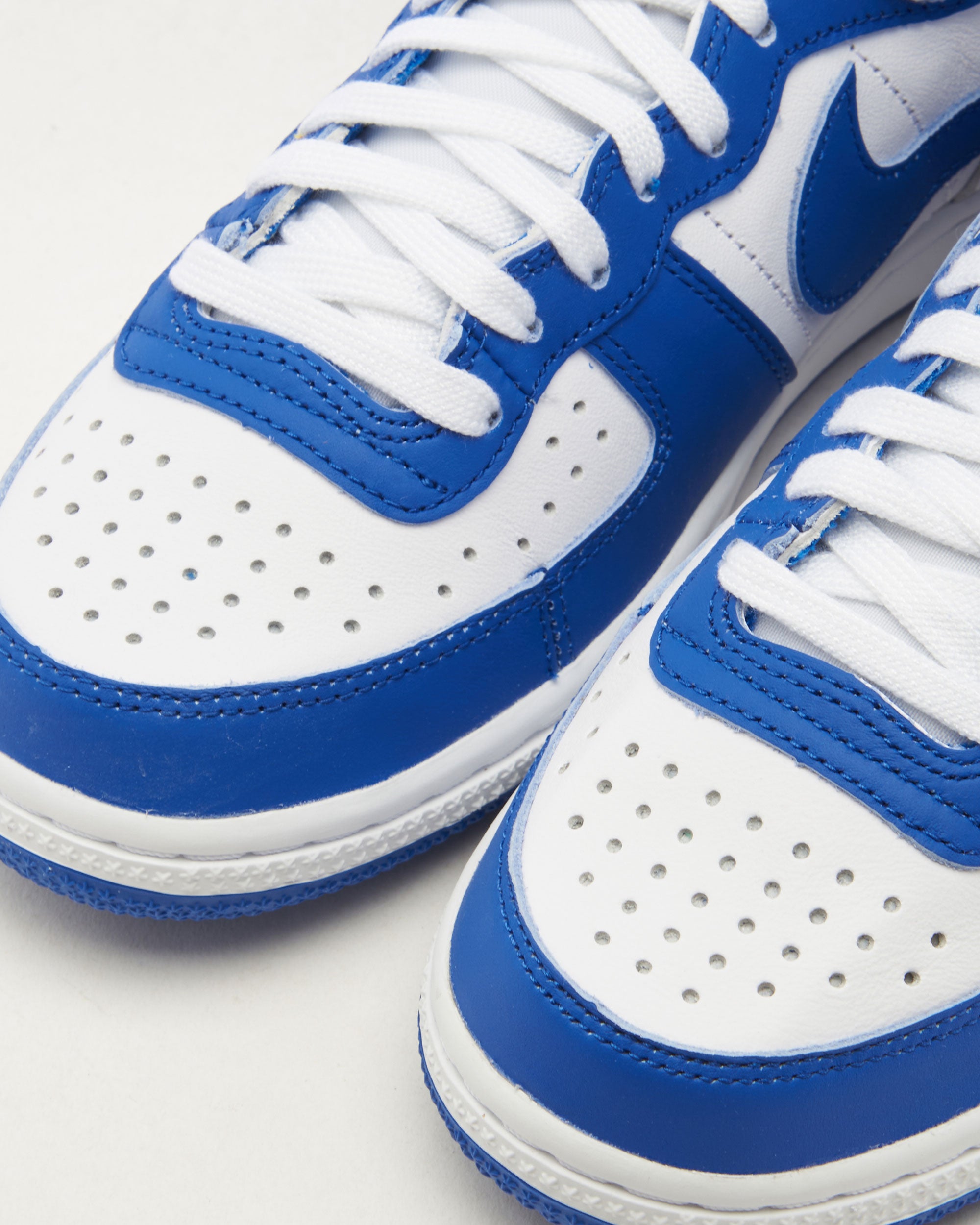 Sneakers Nike Terminator High "Game Royal" - FN6836-100