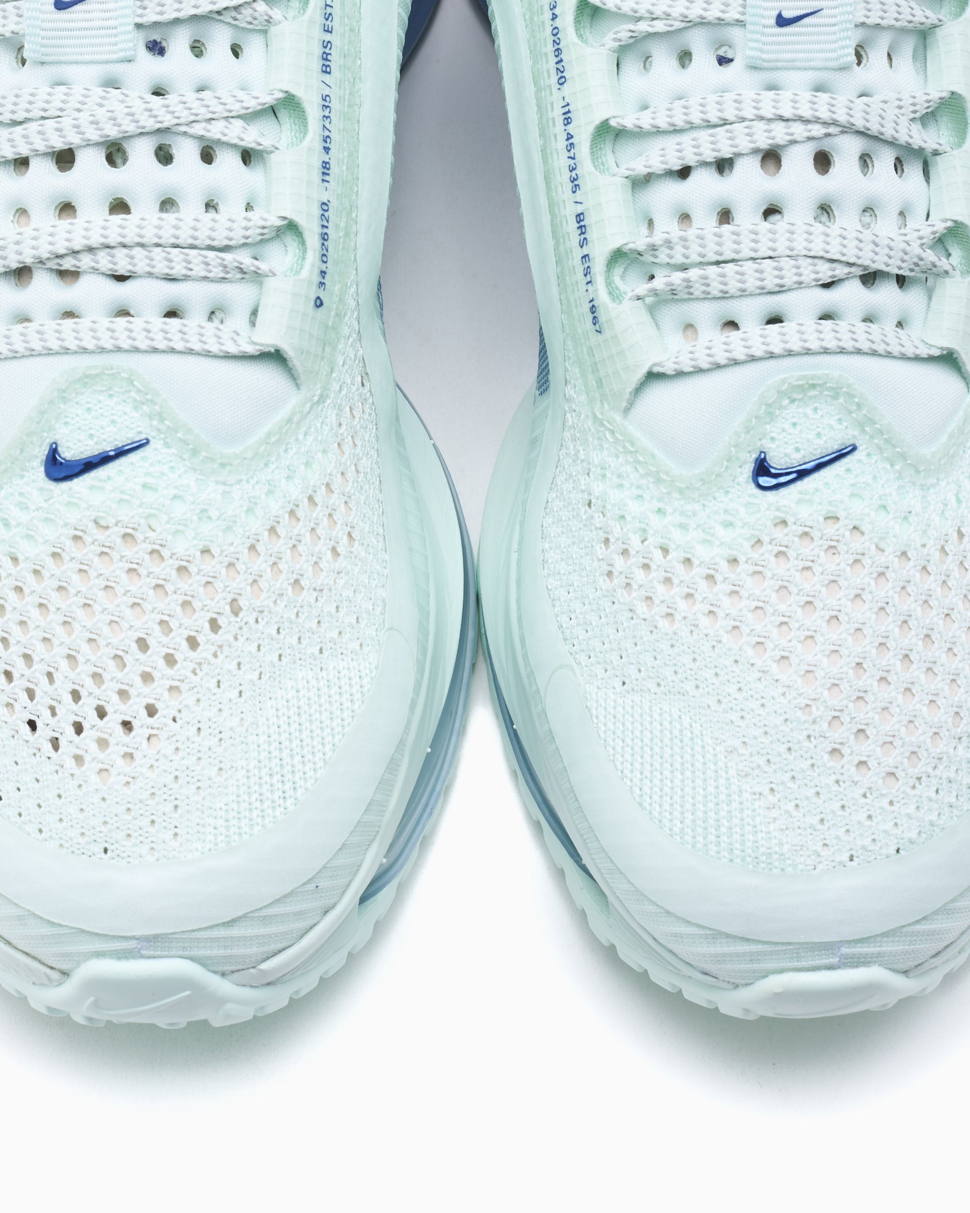 Sneakers Nike Women's Pegasus Premium - HQ2593-301