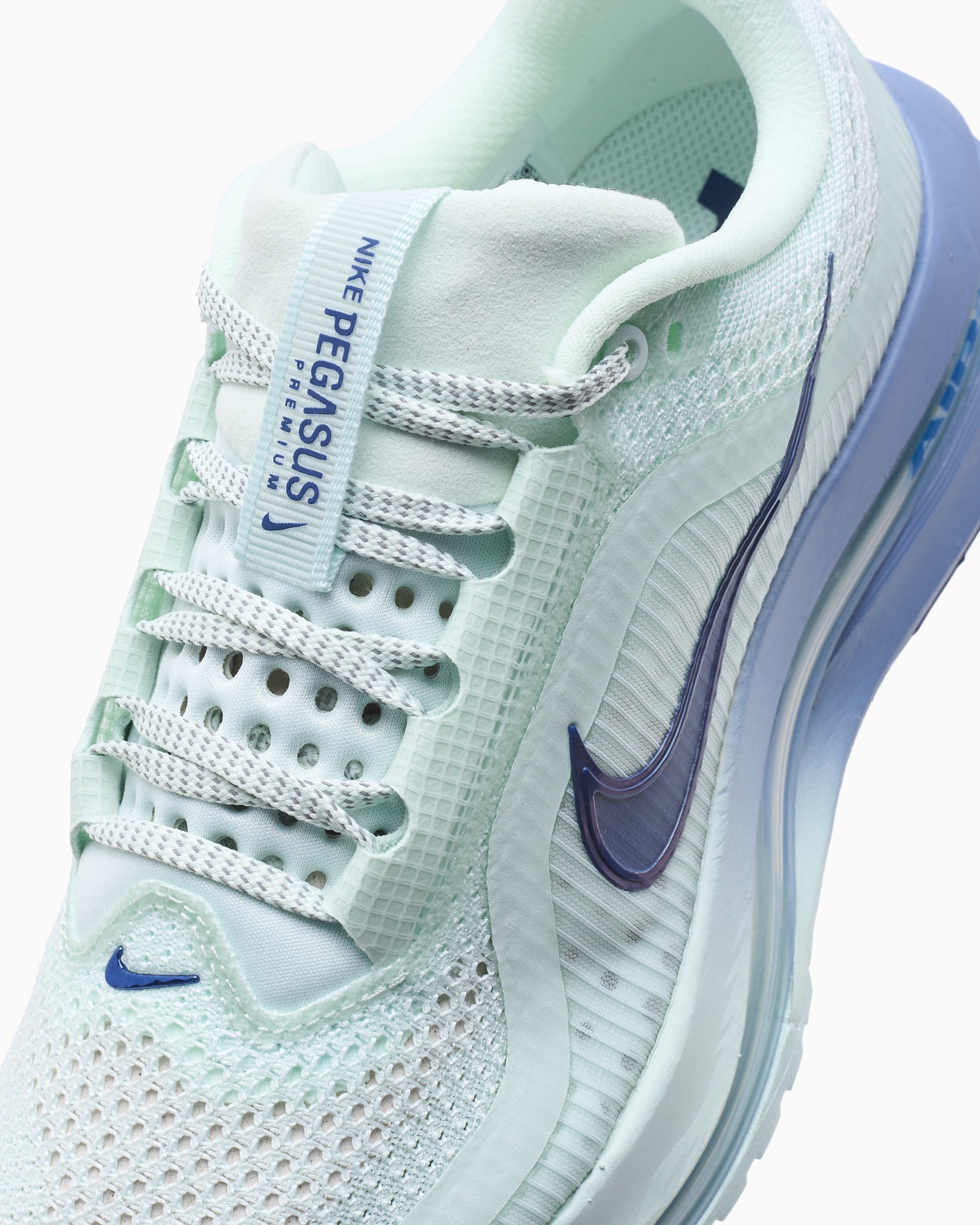 Sneakers Nike Women's Pegasus Premium - HQ2593-301