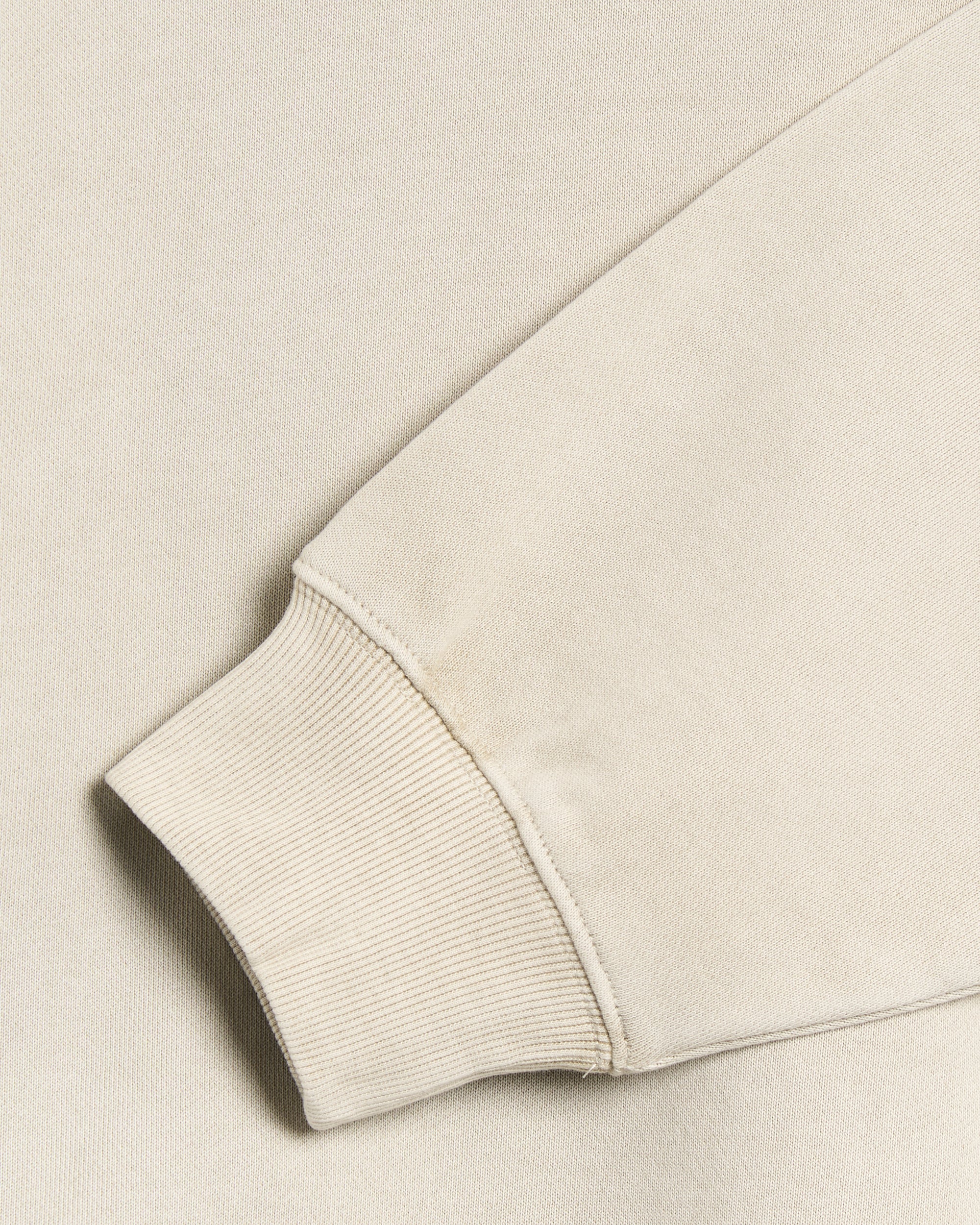 Sweatshirts Carhartt WIP RGGD Relaxed Unisex Sweatshirt - I035636-2LPGD