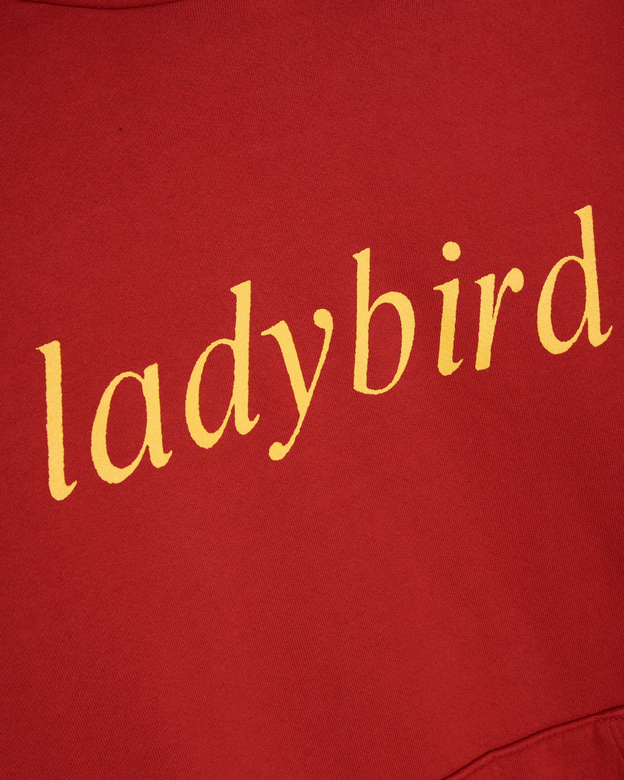 Sweatshirts Perks & Mini Perks And Mini Bugging Unisex Hoodie Unisex Hoodie - 3694/B-LADBRD