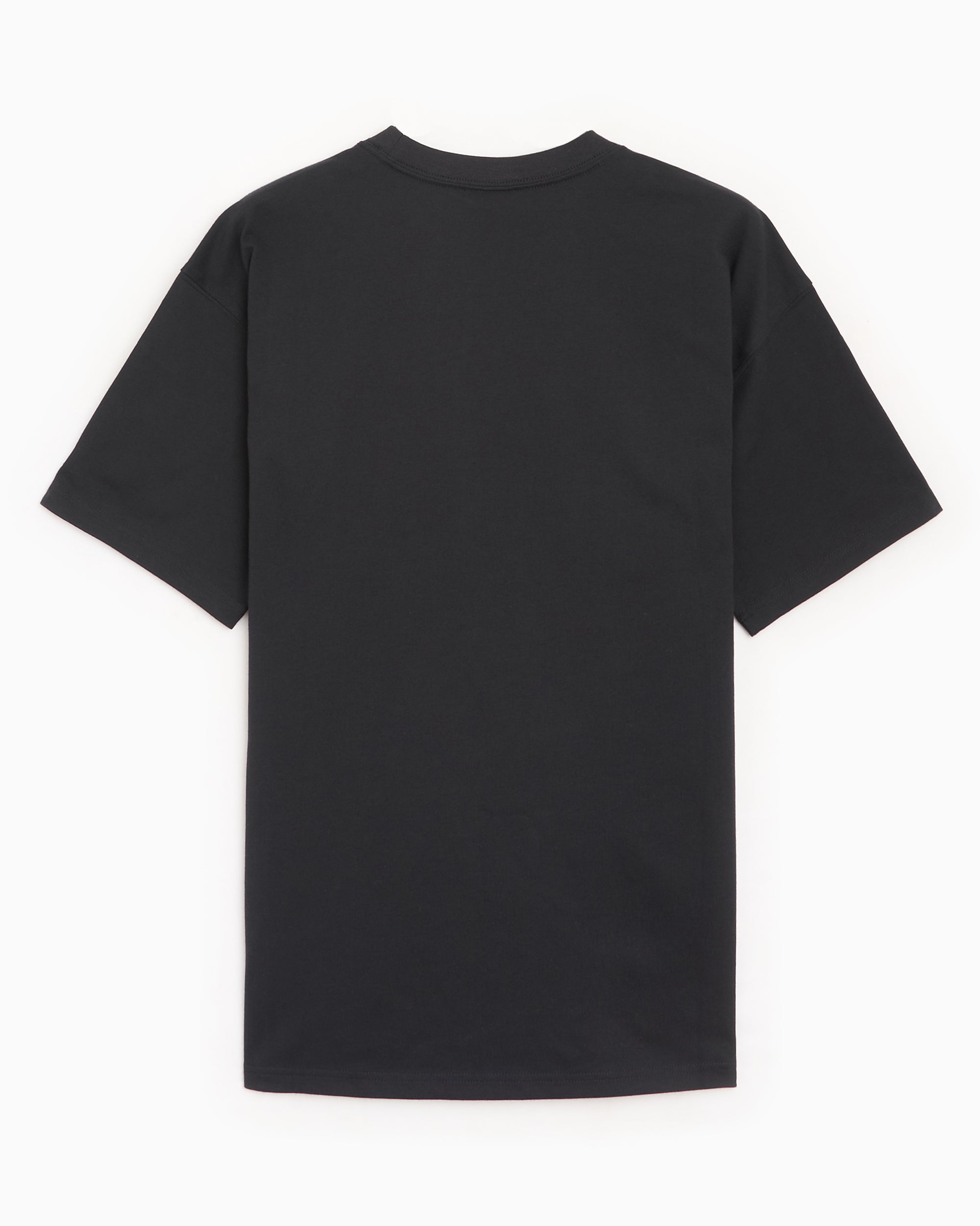 T-Shirts Nike ACG Dri-FIT "Bats" Graphic Men's T-Shirt - IH1312-010