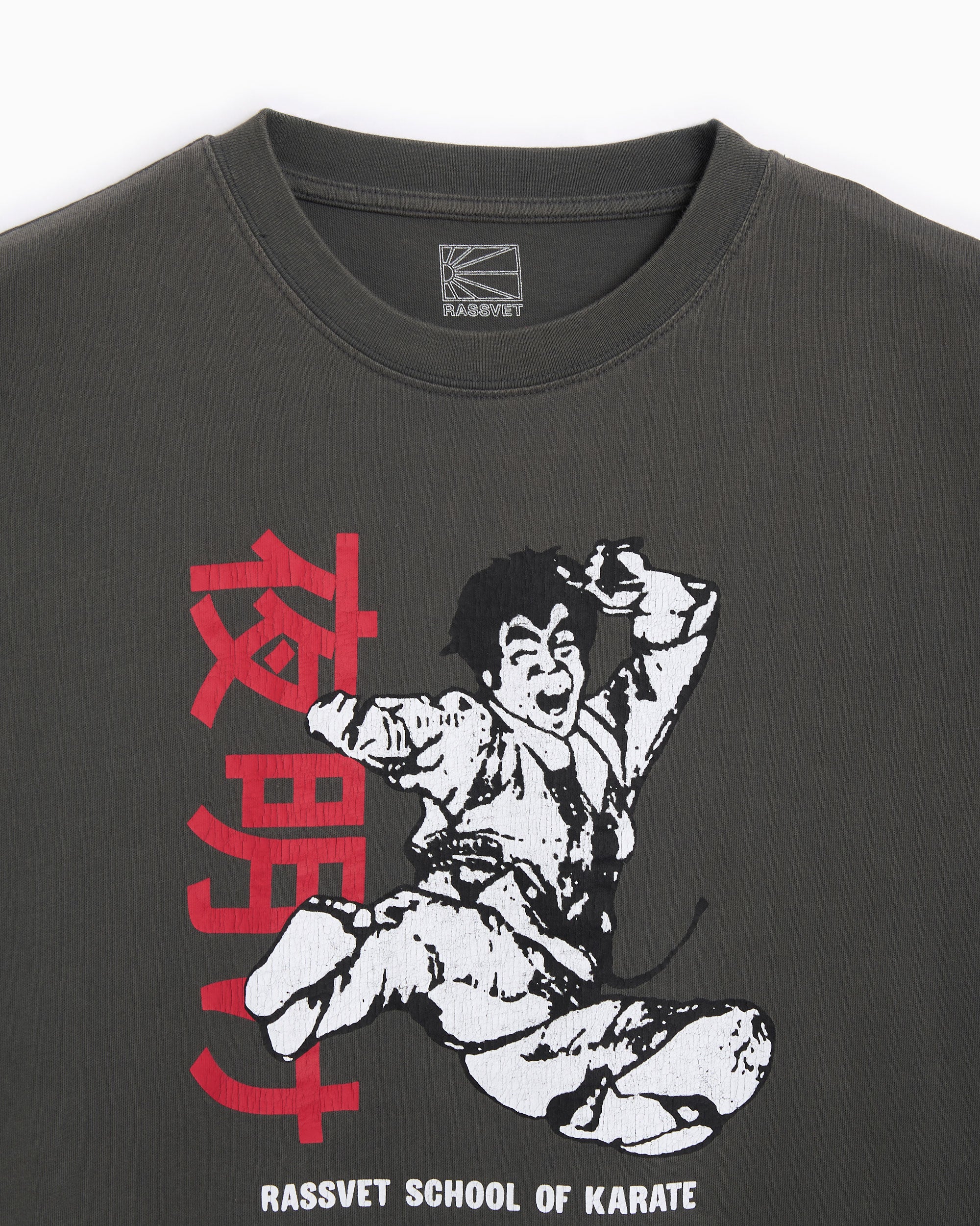 T-Shirts Rassvet Dojo Graphic Men's T-Shirt - PACC17T004-1