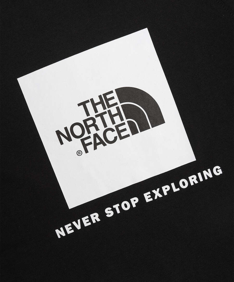 T-Shirts The North Face Raglan Red Box Men's Short-Sleeve T-Shirt Men's T-Shirt - NF0A3BQOKY41