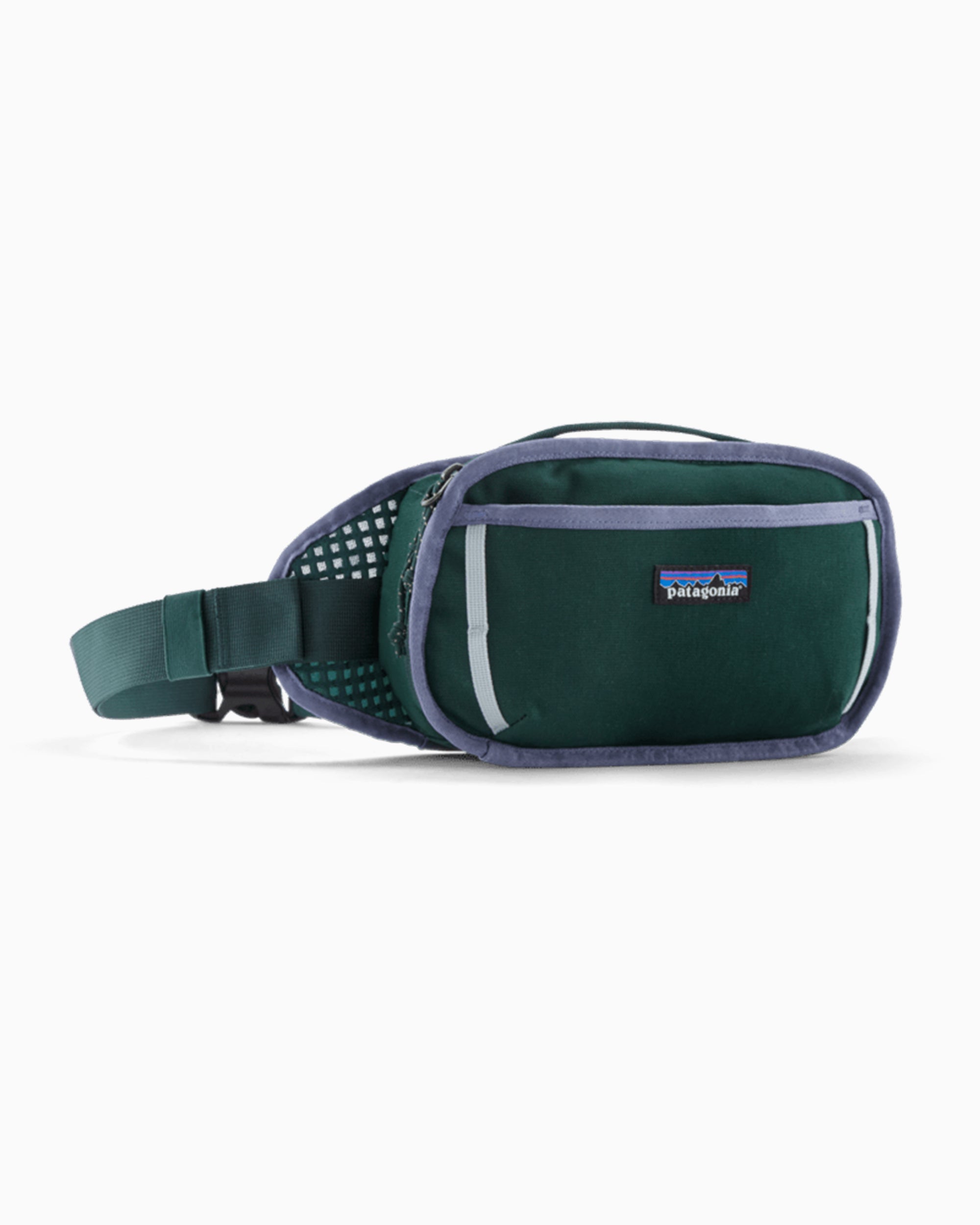Waist bags Patagonia Fieldsmith 5L Unisex Waist Bag - 48580-CASG