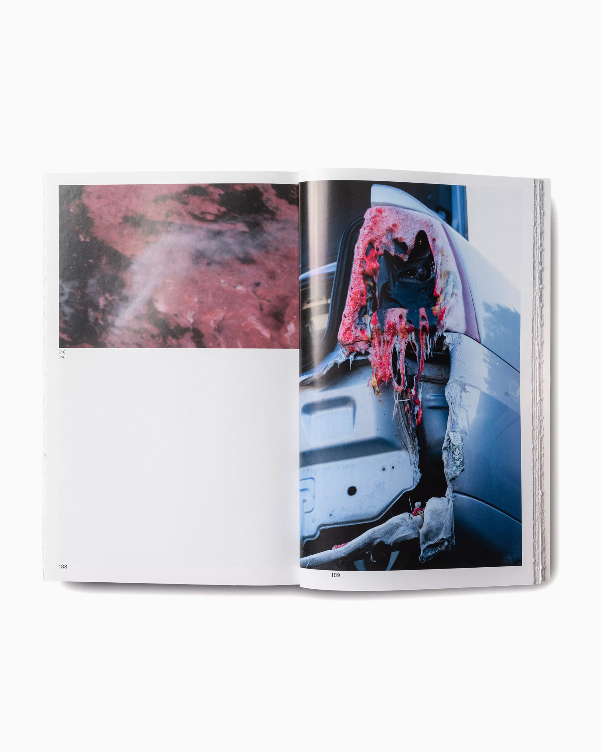 Books Magazines Carhartt WIP x Ill-Studio Sedimental Works - I037646-08XX