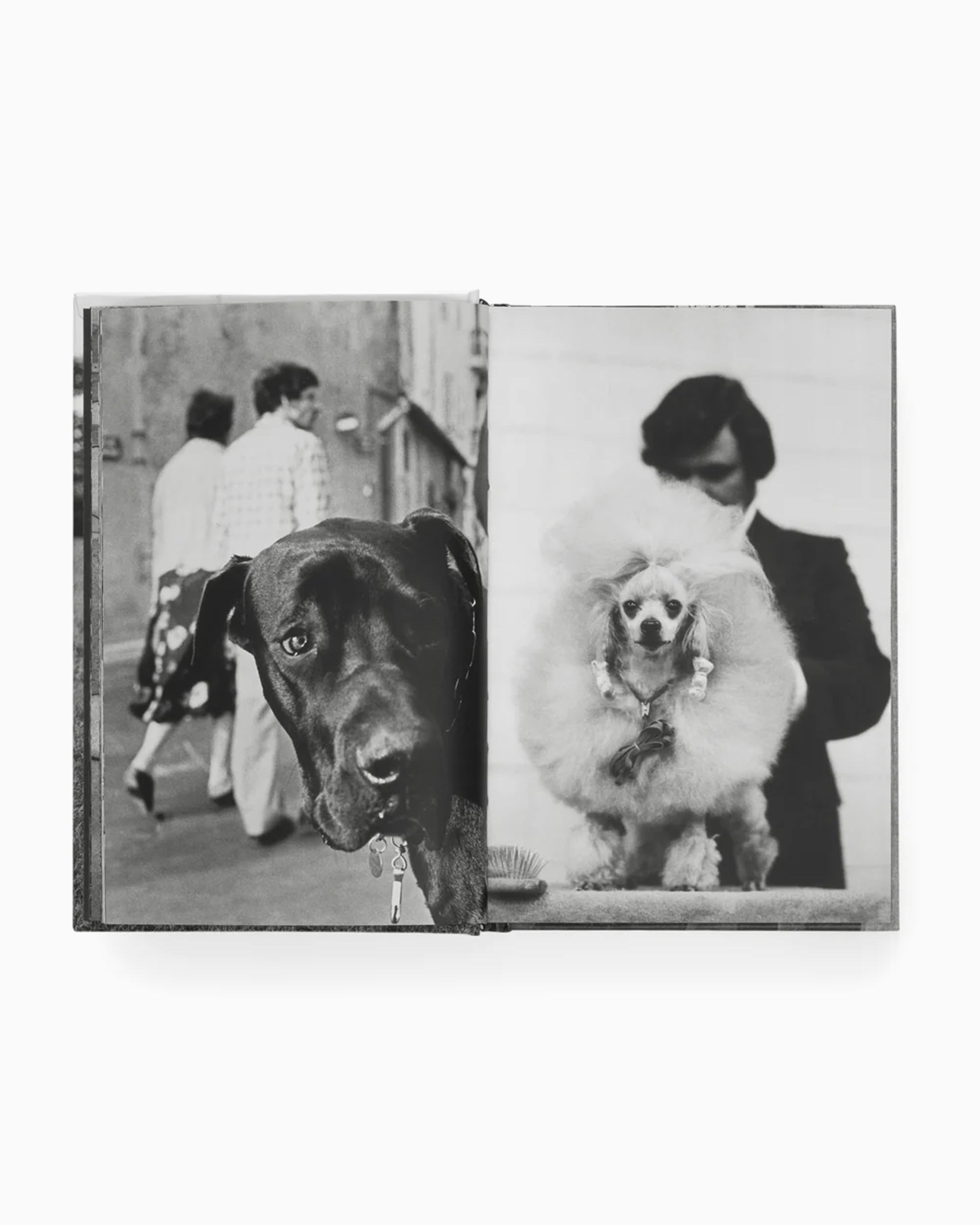 Books Magazines Phaidon Elliot Erwitt: Vida De Perros - 9781838669744