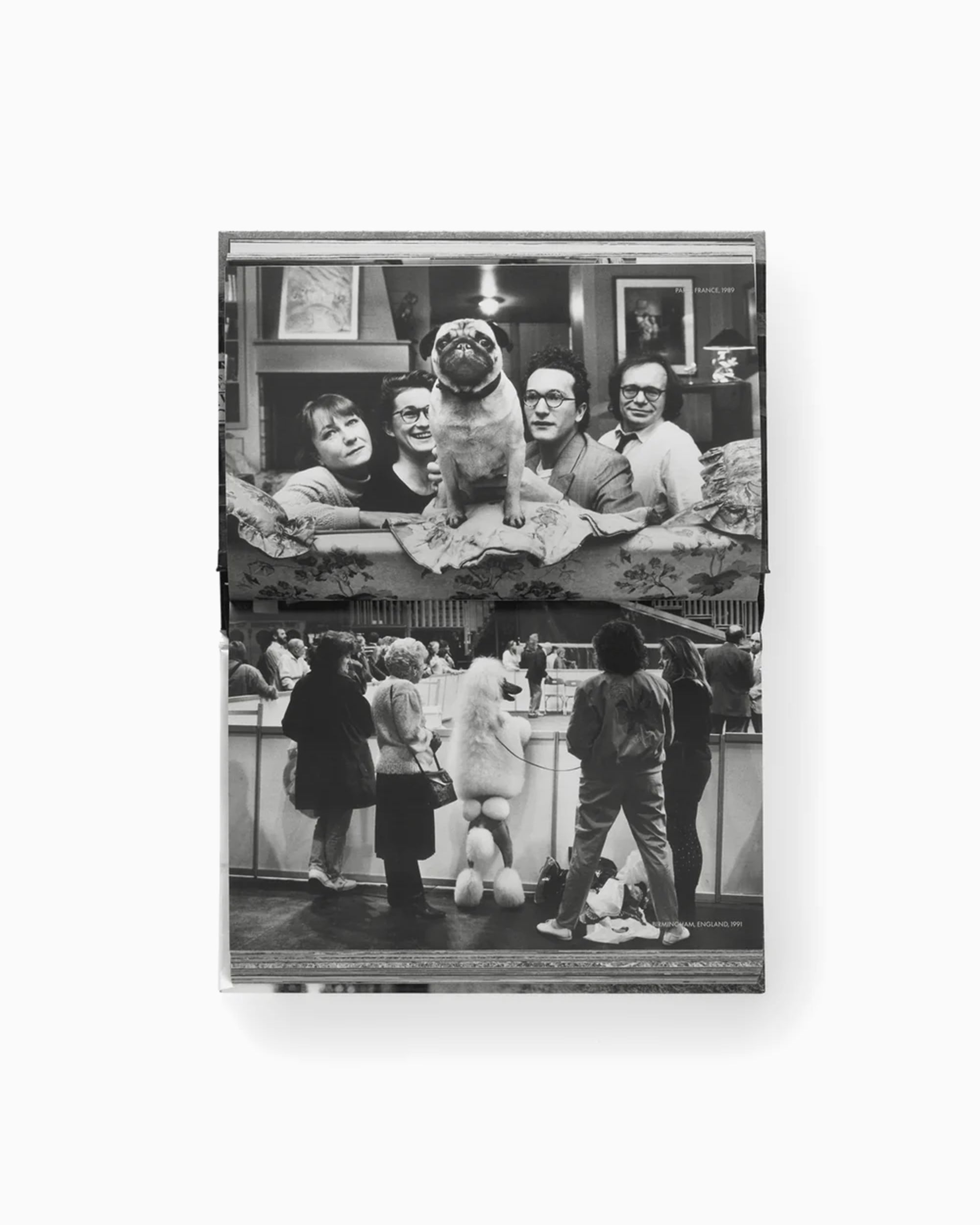 Books Magazines Phaidon Elliot Erwitt: Vida De Perros - 9781838669744