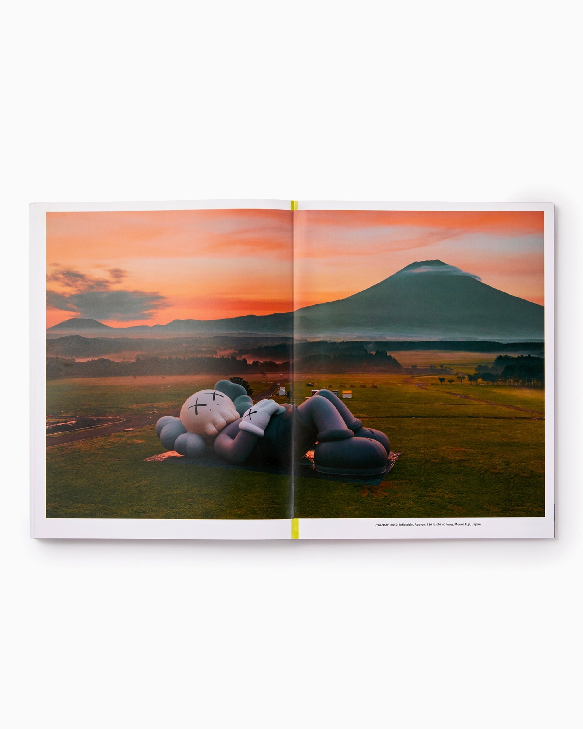 Books Magazines Phaidon KAWS: What Party - 9781838663940