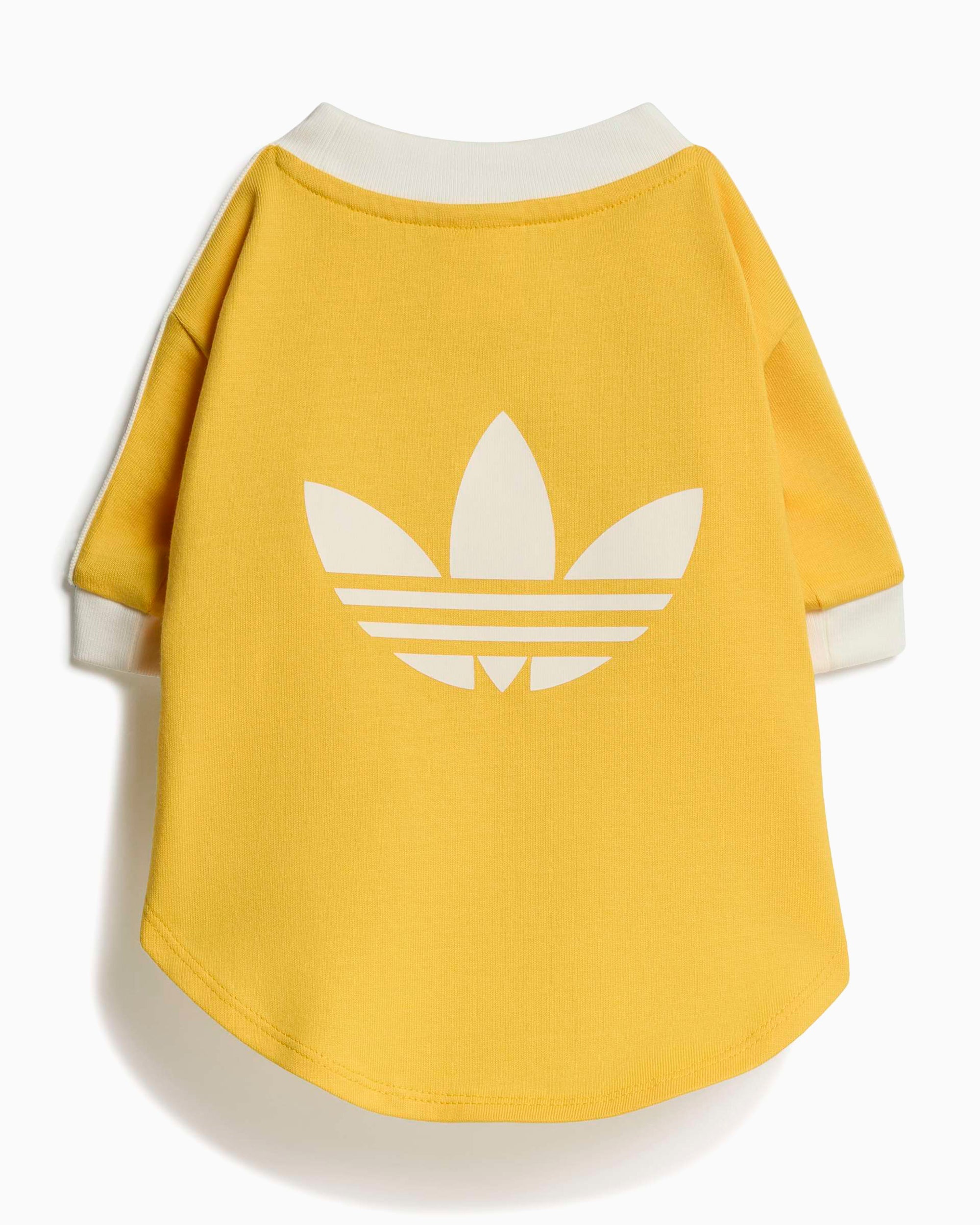 Outdoor accessories adidas Originals Cali Pet T-Shirt - KY8731