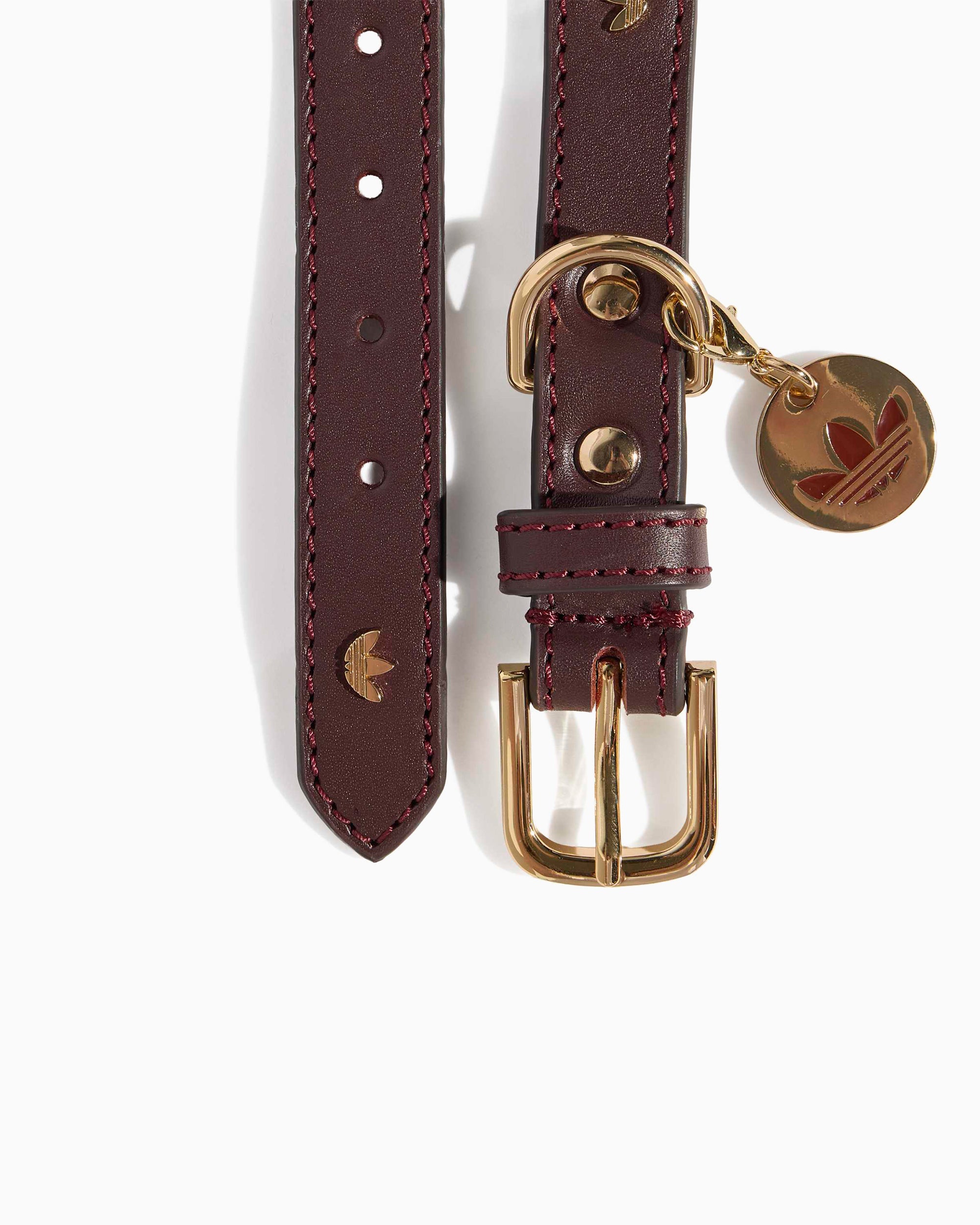 Outdoor accessories adidas Originals Pet Collar - KY8799
