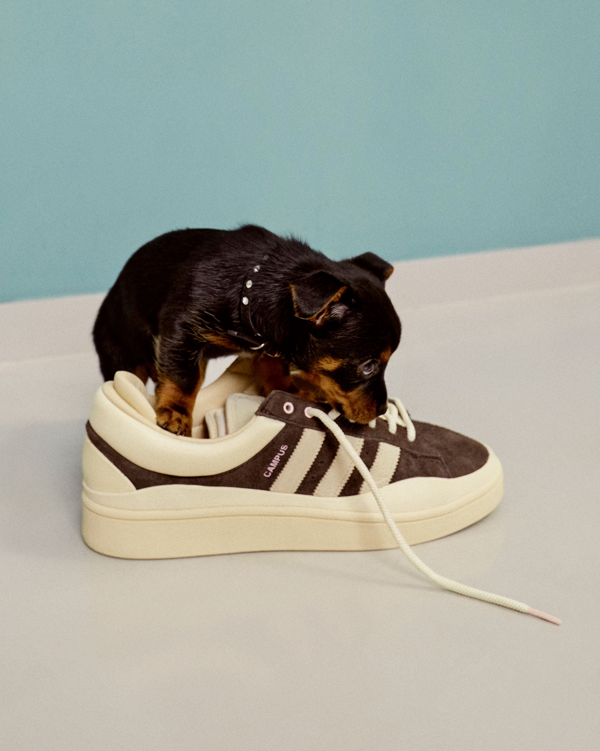 シューズ(男性用)  BAD BUNNY CAMPUS ID2534 28,5cm adidas Originals x Bad Bunny Campus