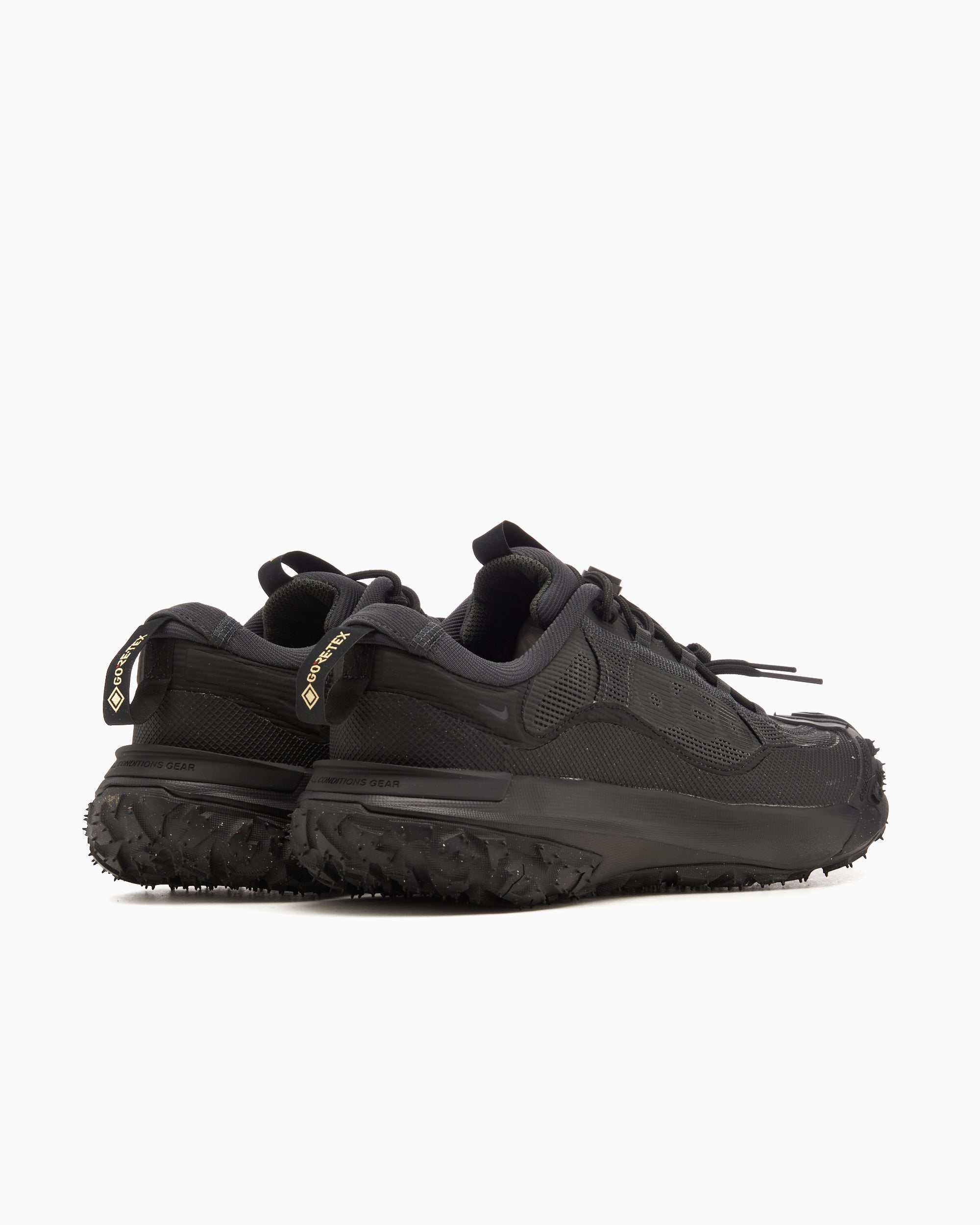 Nike ACG Mountain Fly 2 Low Gore-Tex®