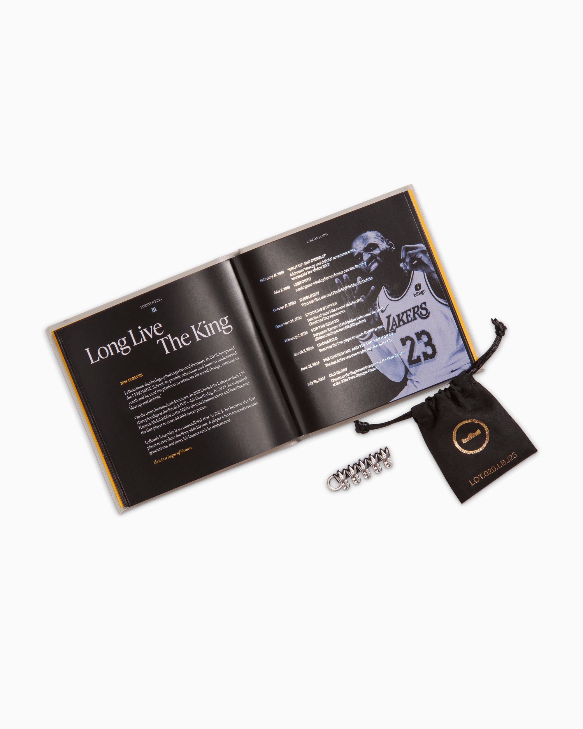 Sneakers Nike LeBron 23 Elite "For The Record" - IB9557-100