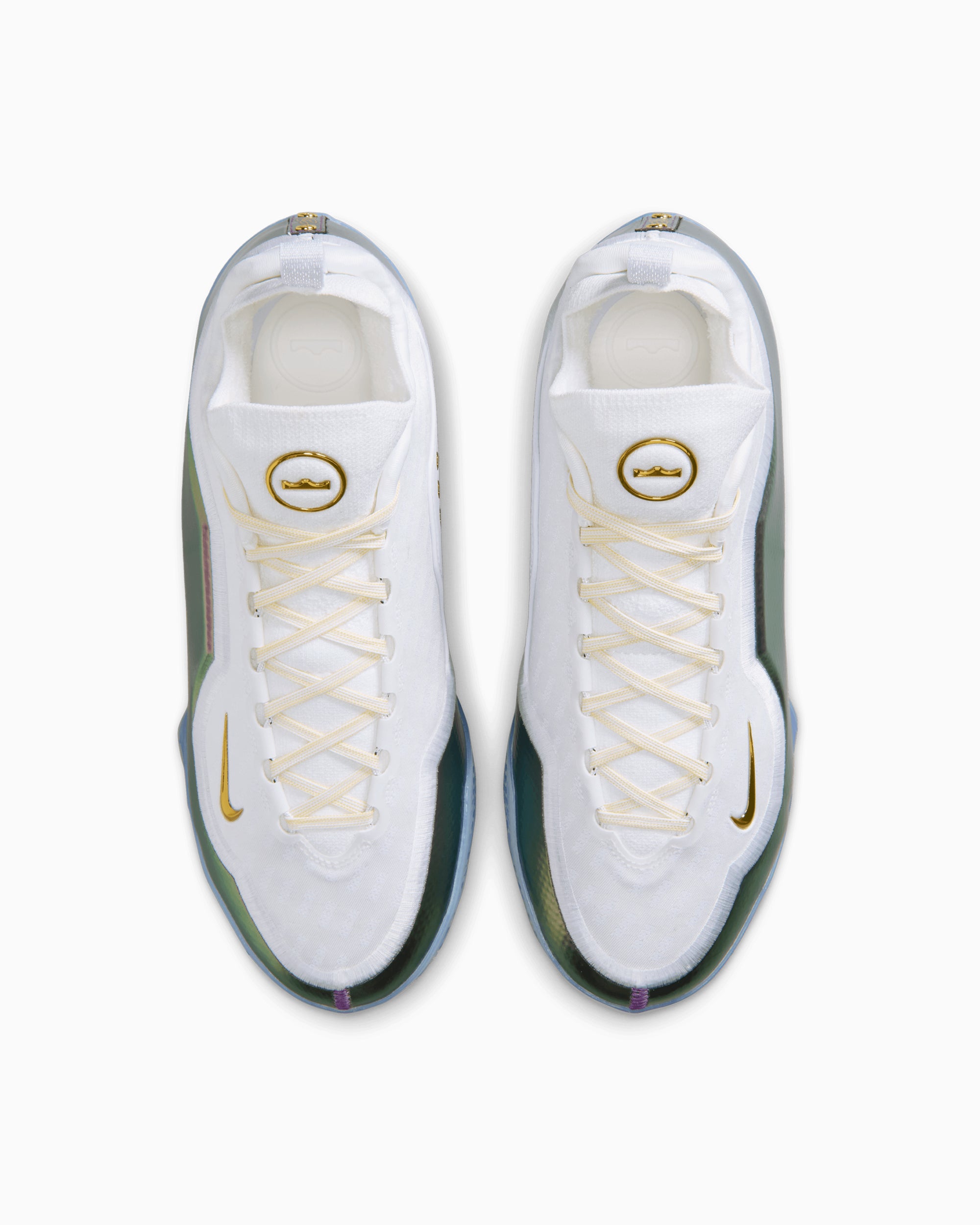 Sneakers Nike LeBron 23 Elite "For The Record" - IB9557-100