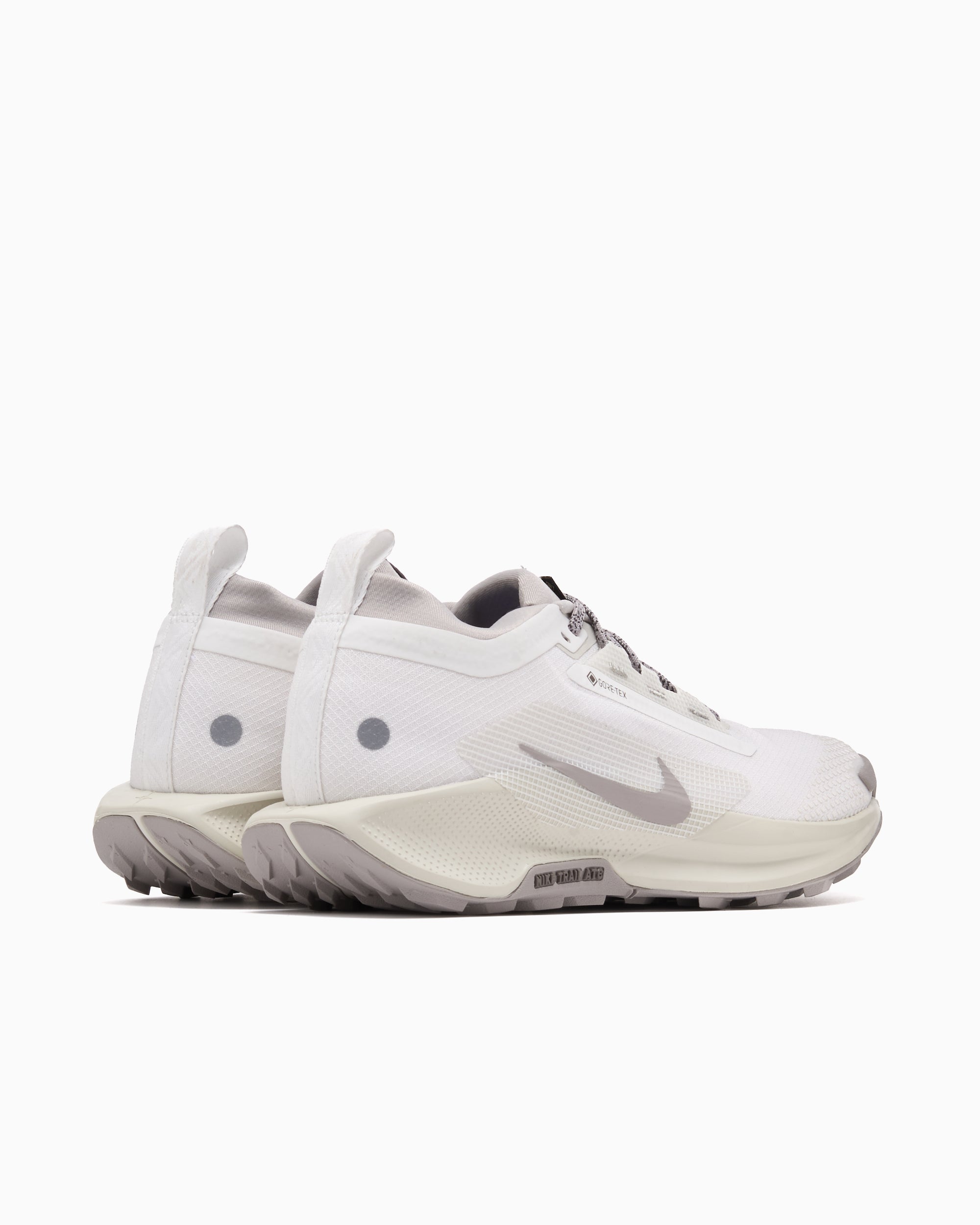 Sneakers Nike Reactx Pegasus Trail 5 Gore-Tex® SP - HQ7494-100