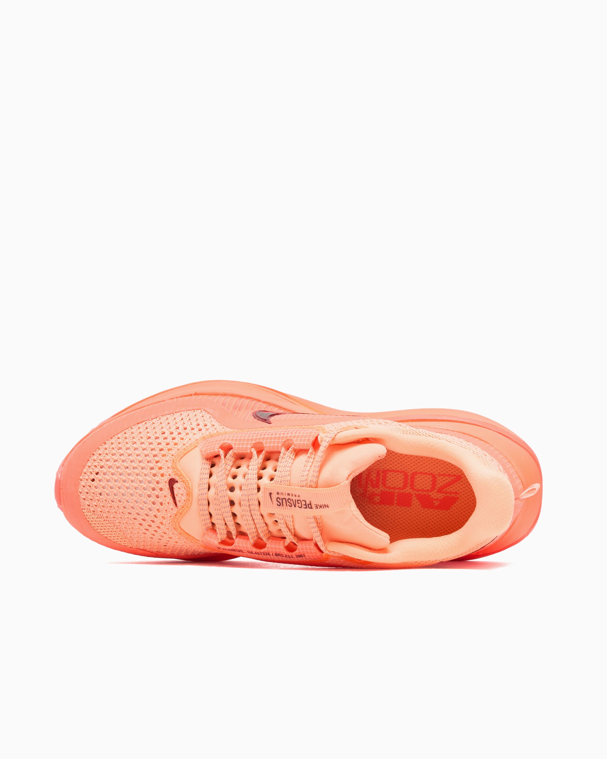 Sneakers Nike Women's Pegasus Premium - HQ2593-802