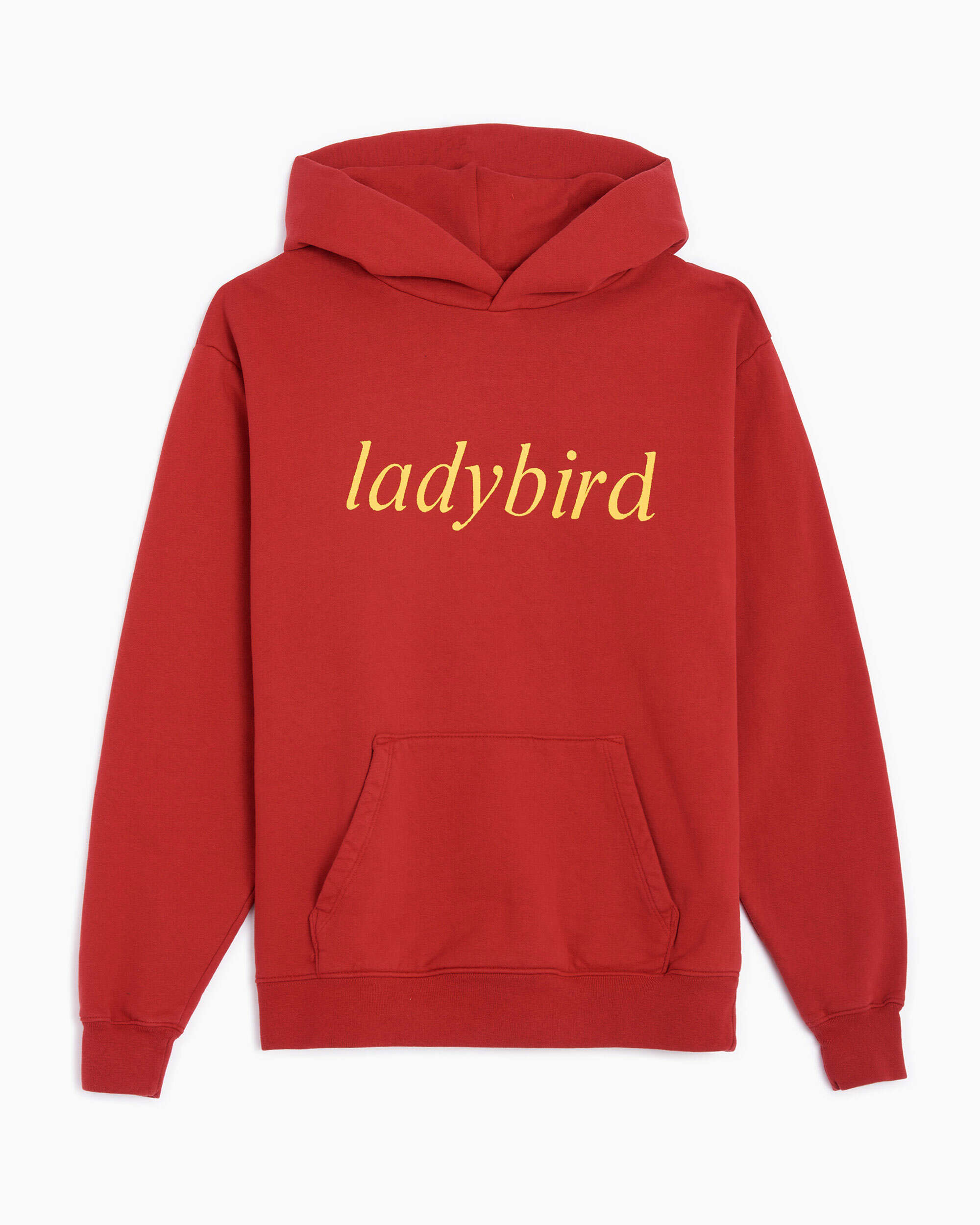 Sweatshirts Perks & Mini Perks And Mini Bugging Unisex Hoodie Unisex Hoodie - 3694/B-LADBRD