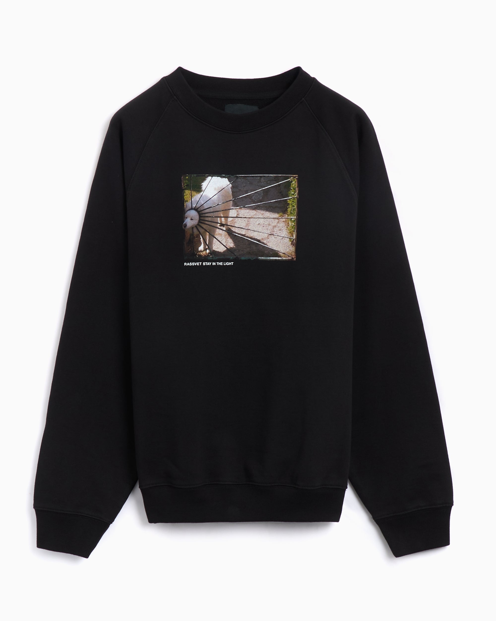 Sweatshirts Rassvet Dog Logo Men's Knit Sweatshirt Men's Sweatshirt - PACC16T021-1