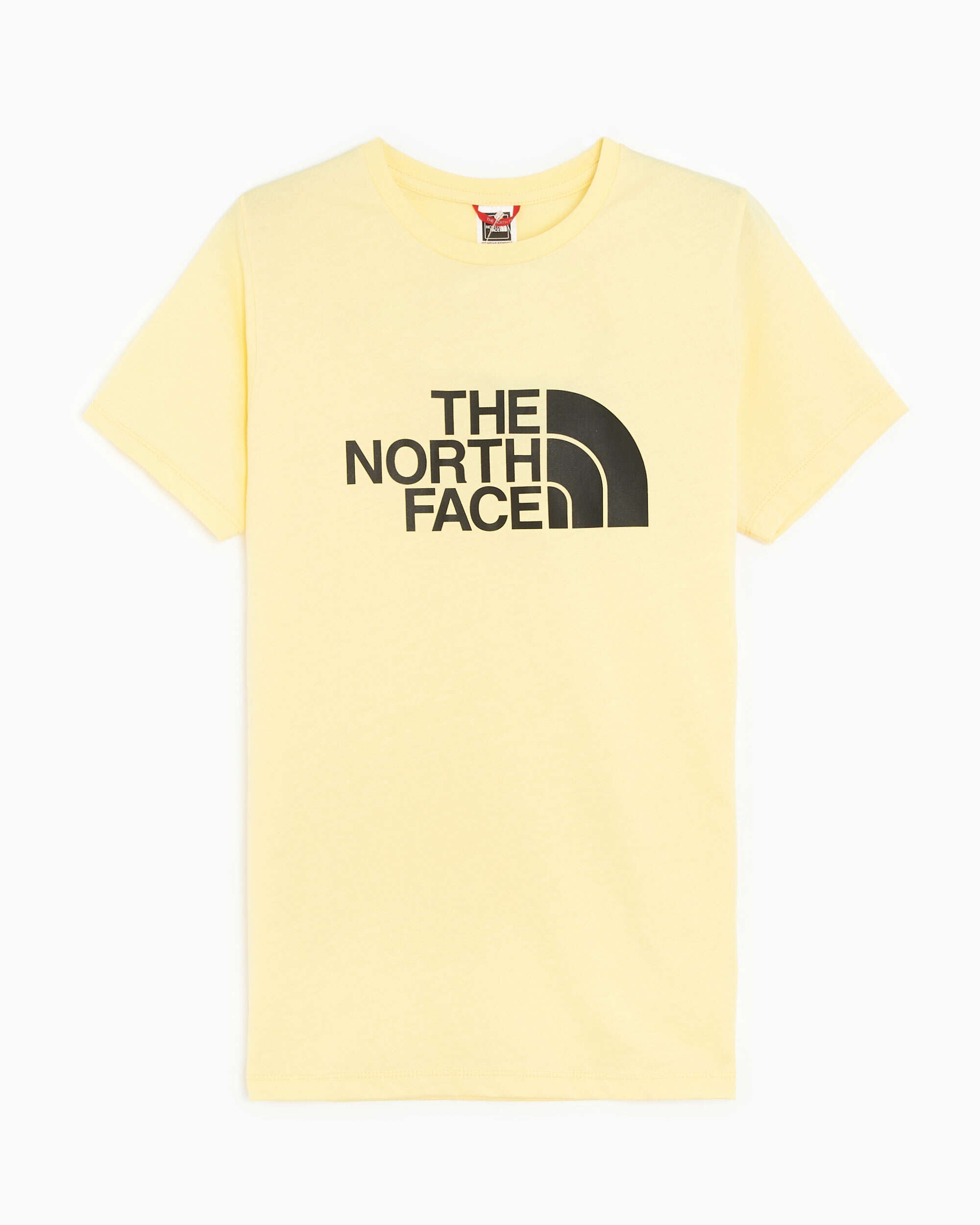 T-Shirts The North Face Easy Logo Women's T-Shirt - NF0A4T1Q3R41