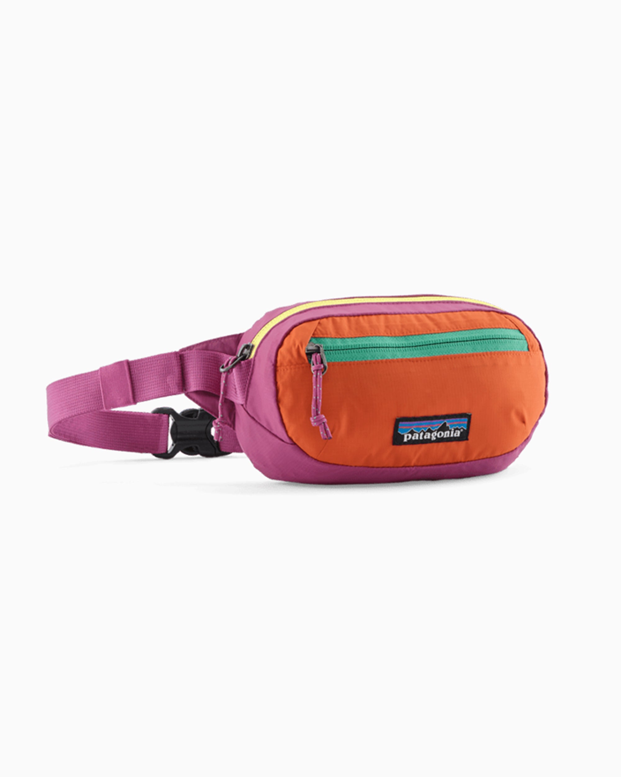 Waist bags Patagonia Terravia Mini 1L Unisex Waist Bag - 49448-FDMG